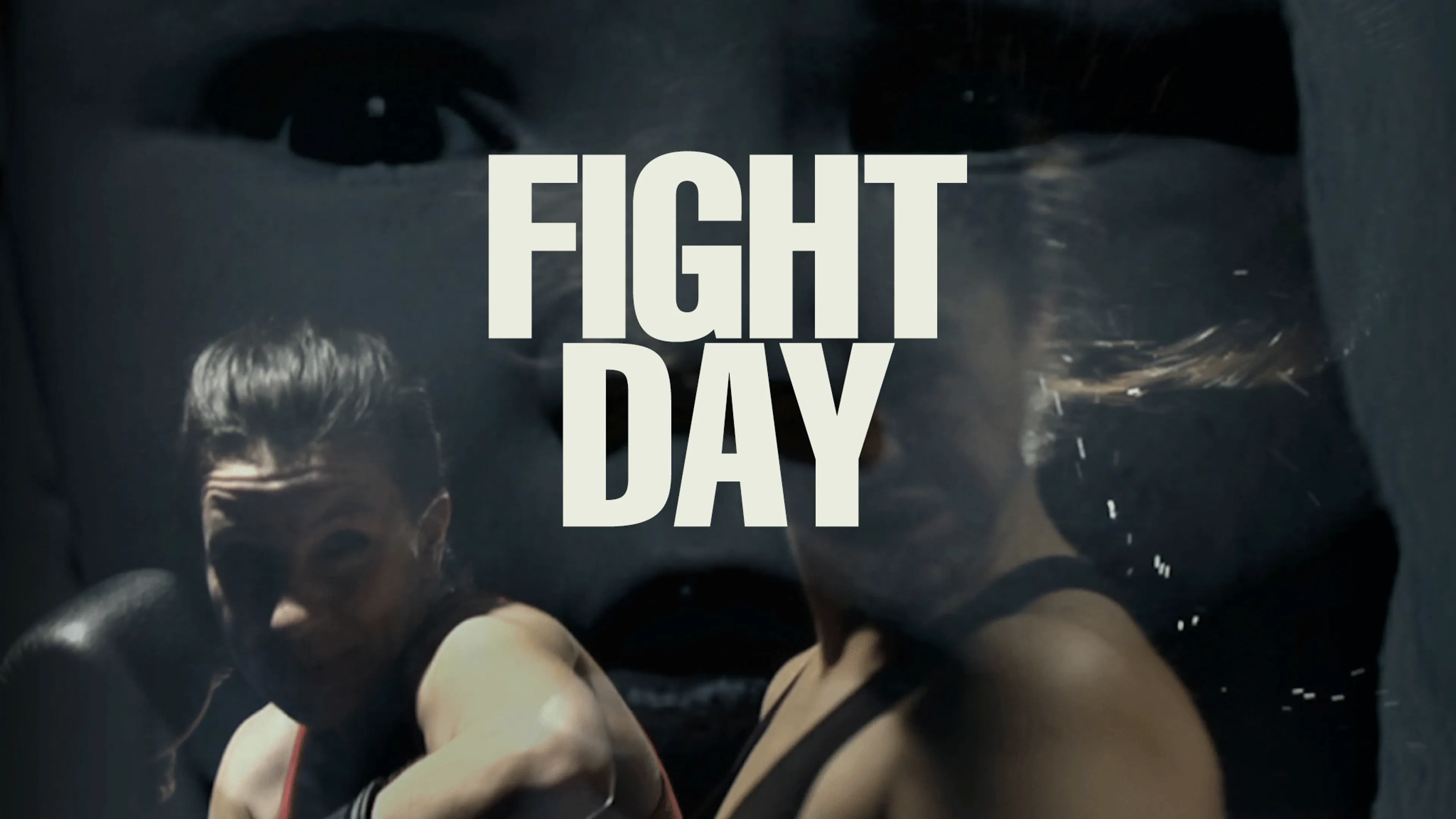Fight Day poster